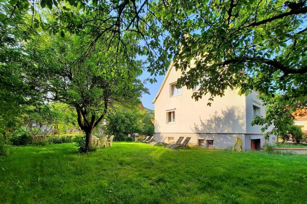 Rooms 4 Persons Kaysersberg Buitenkant foto